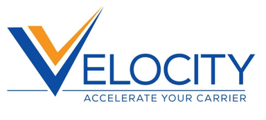 VVelocity Logo